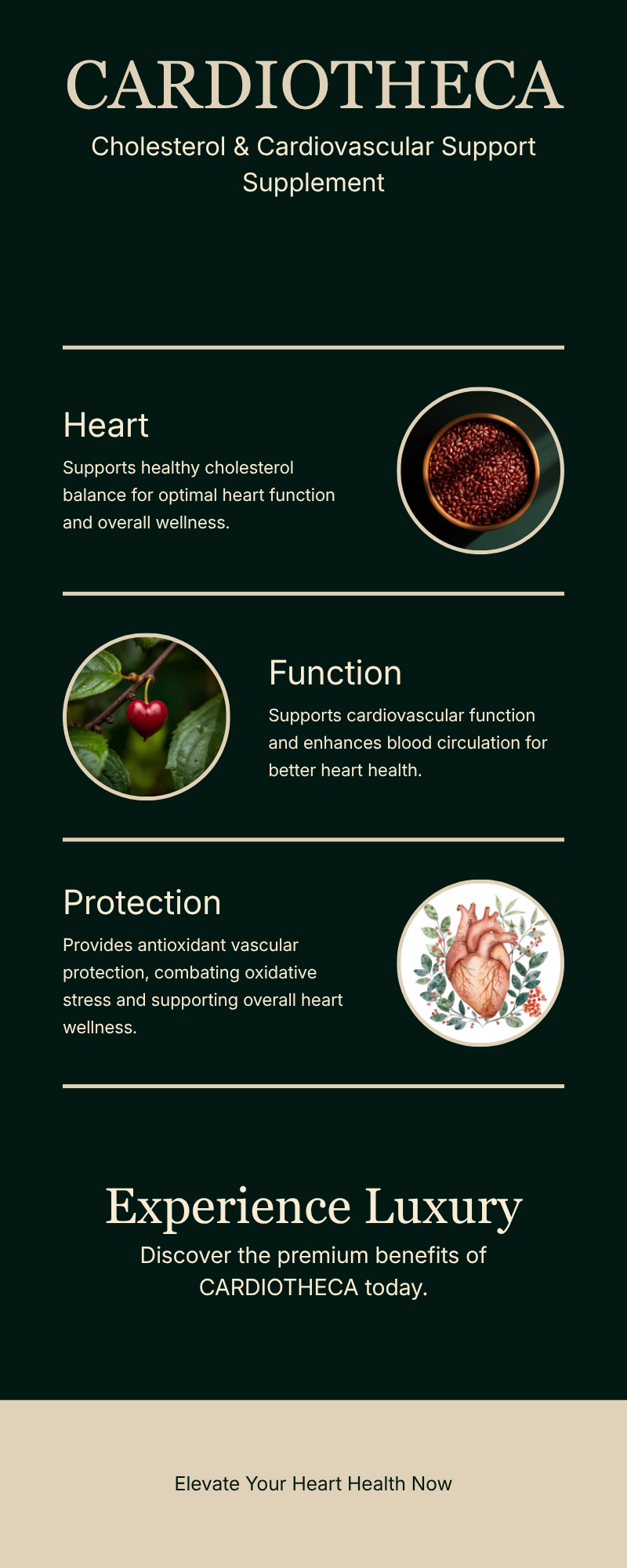 Cardiotheca Infographic — W.S.T Apotheca