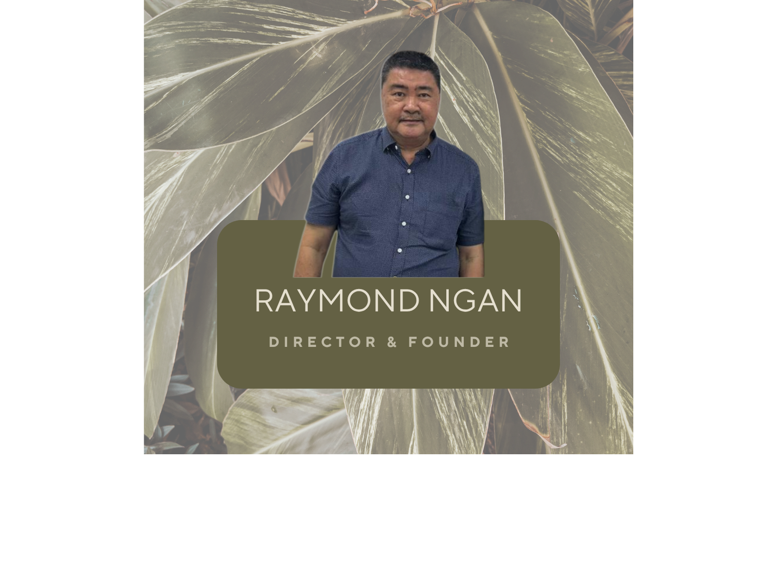 Raymond Ngan T M